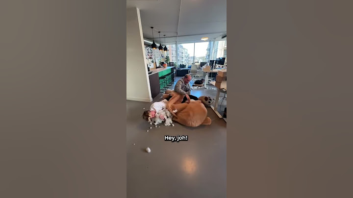 Prank van Matthy 😂 (van @bankzitters) #bankzitters #viraal #voorjou #fyp #follow
