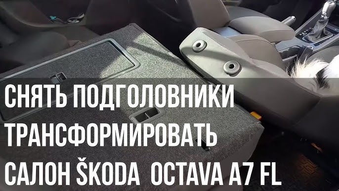 Подголовники - Skoda Rapid (1G), 1,6 л, 2017 года стайлинг DRIVE2