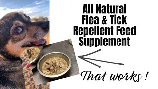 How to Repel Fleas and Ticks with a Feed Supplement with Recipe