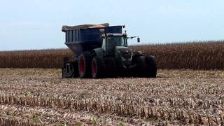 Récolte de maïs (2011) | Corn Harvest