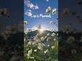 Moments of May #frenchcafemusic #frenchchanson