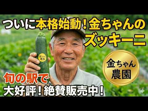 【パセリとズッキーニページ】 Episode 264: Zucchini pollination is increasing, and they'll be on