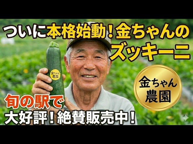 Episode 264: Zucchini pollination is increasing, and they'll be on