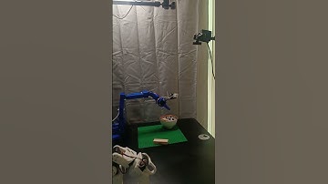 lerobot smolVLA #robotarm #vision