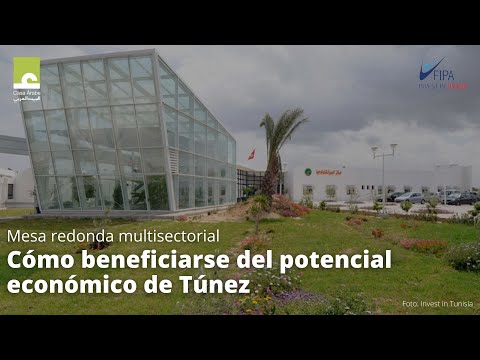 Mesa redonda multisectorial: Cómo beneficiarse del potencial económico de Túnez