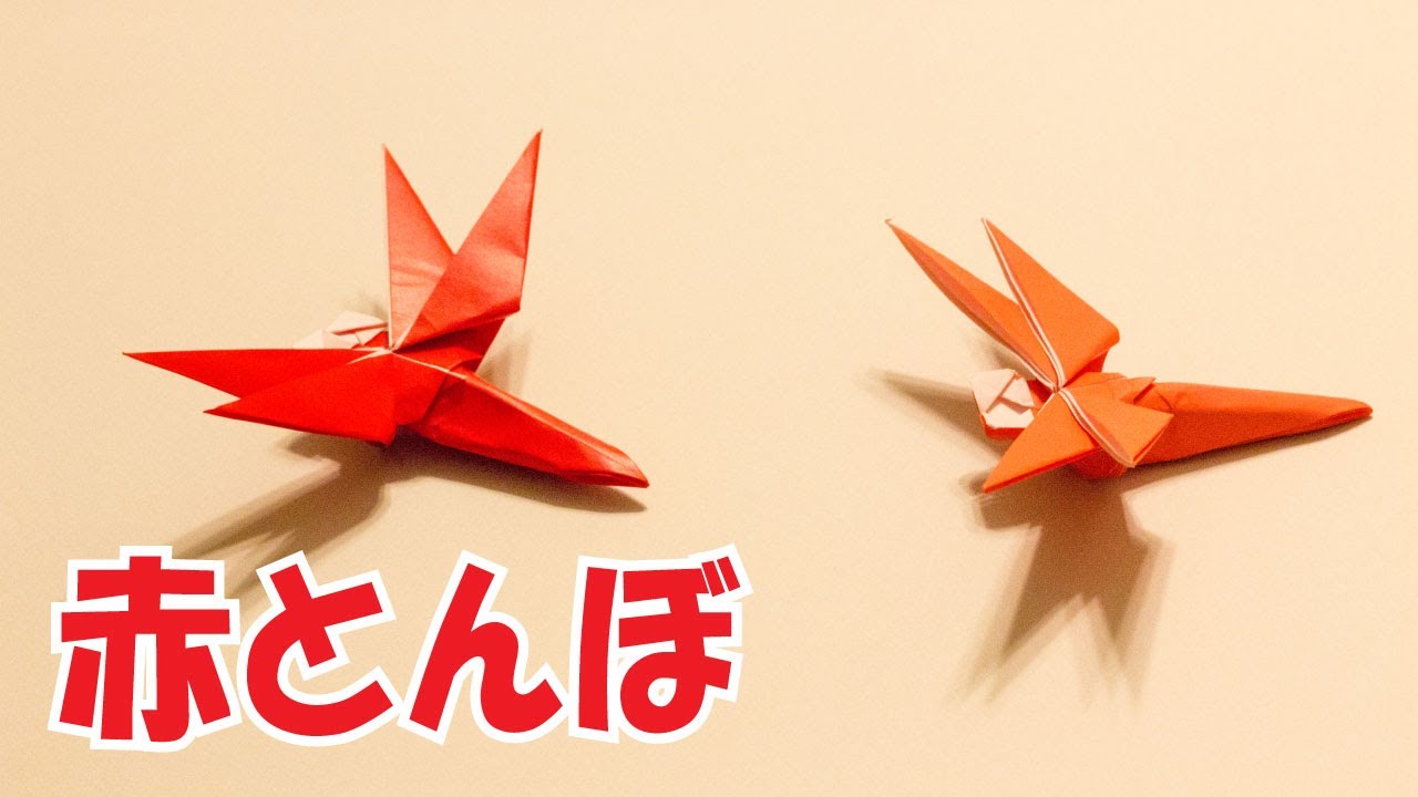 折り紙 赤トンボ の簡単な作り方 立体昆虫おりがみの折り方 3d Paper Red Dragonfly Diy Tutorial Youtube