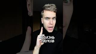 ‼️ ОСТОРОЖНО - ПАУКИ 🕷️❌