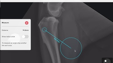 4 Angle measurement with a  pair of lines in vPOP-pro