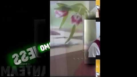 [reup.] 3 Shuric Scans With Are Slides V2