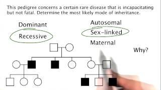 Problem 18 - Tales from the Genome