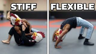 Flexibility for BJJ