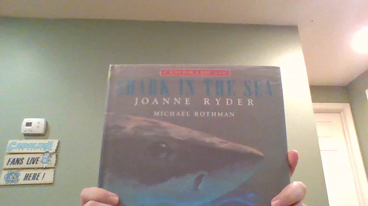 Shark in the Sea