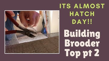 How To Build A Lid For Our Chick Brooder | Part 2