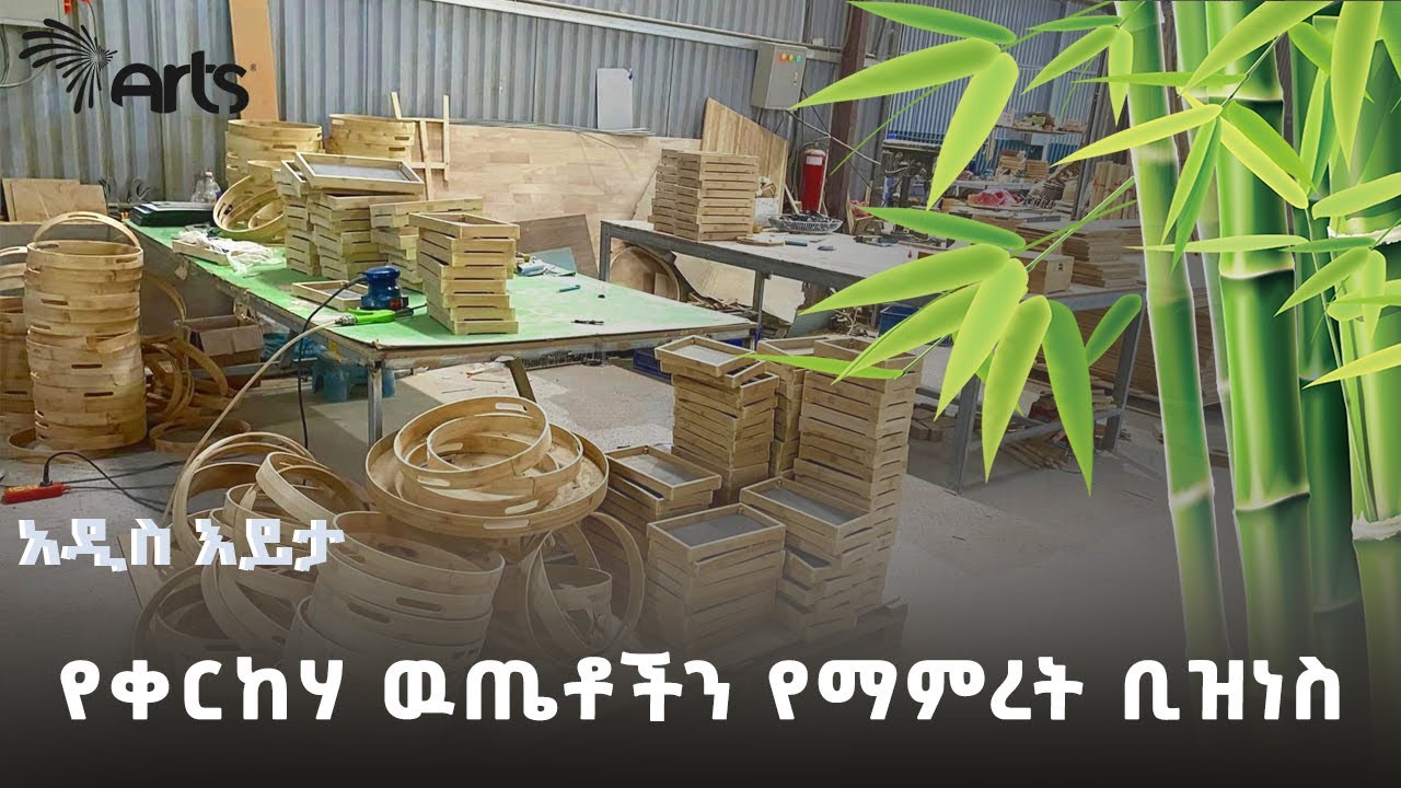 በቀላል ስልጠና የቀርከሃ ዉጤቶችን የማምረት ቢዝነስ ይጀምሩ | አዲስ እይታ @ArtsTvWorld