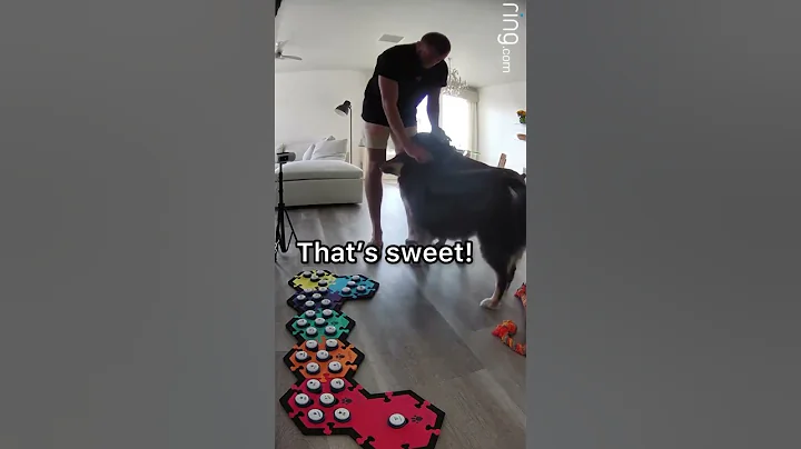 Talking dog tells her sister she loves her 🥺🥰 #talkingdog #cutedog #shorts #smartdog #adorable