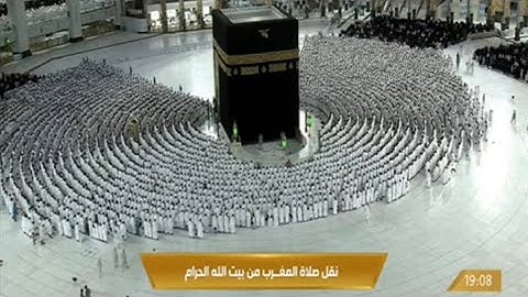 صلاة المغرب الخميس 6-1-1444هـ الشيخ فيصل غزاوي  - من سورة الأحزاب [41 - 48]