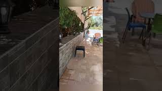 فيديو خفيف لطيف عن يومي الجميل _ مع الغوالي  في محافظة جرش
