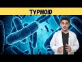 Typhoid fever 3d animation | causes symptoms transmission | typhoid Mary | salmonella bacteria hindi