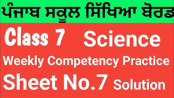 Class 7 | Science| Weekly Competency Practice sheets|Sheet No.7|PSEB@Sunnyedu7