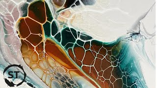 BLOOM Swiping! Talk about paints and recipes. “Wings” series.
Acrylic pouring/ fluid art inspirational video. I’m continuing this series of blooms wipes, and this video I do talk through the recipes in the technique. I really love this composition, it reminds me of wings and always comes out different each time. As always just loving playing with color!
Please subscribe to see my latest work, It’s free, helpful, and encouraging! Hit the BELL and select “ALL” to never miss a video.
Website for sales
https://www.stmodernart.com/
Follow me on Instagram
https://www.instagram.com/sarataylor.art/
https://linktr.ee/stmodernart
Time and materials takes a lot. If you feel I’ve inspired or contributed to your creative journey, here are some ways you can support me;
✨The benefits of my patreons account! Includes private teaching content.
https://www.patreon.com/stmodernart.
✨Amazon affiliate store, I get a small piece, and you find great products!👇
https://www.amazon.com/shop/sarataylor
✨Tips are welcome;
Venmo: @sara-taylor-159
PayPal: https://www.paypal.me/saradtaylor21
Email for commission or private class inquiry;
saradtaylor21@gmail.com
New Pearl Recipe w/ 20-21 Artist Loft paint;
https://youtu.be/umBApA5JFCU
FULL talk through pearl cloud-over acrylic pour tutorial;
https://youtu.be/gn6qv3vGXuk
Bloom paint mixing;
https://youtu.be/9F2g3G723io
Huge thank you to my gold level patreons!
✨ Molly Wilson
✨ Jayne Steuart
✨ Heidi Lauridsen
✨ Donna Nelson
✨ Zanofsu
✨ Carly Markey
✨ Renee King
I’m a stay at home mama/ professional and experimental artist. I do commission and gallery work out of my small mountain community, Sandpoint Idaho.
Basecoat Pillow:
Glidden latex house paint ~ satin
About 1/8 Part GAC800 added to this.
Paint PM:
2 part untinted base III House paint
1 part varathane triple thick polyurethane
Cell activator:
1 part black oxide or titanium white Amsterdam paint
3 part US floetrol
A few drops minawax wood conditioner (red can)
Cell activator:
1 part titanium white Amsterdam paint
3 part Australian floetrol
I thin both the paint and the basecoat down that with water to get a warm honey consistency.
🎵Music provided by epidemic sound🎵
#acrylicpouring #fluidart #abstractart BLOOM Swiping! Talk about paints and recipes. “Wings” series.