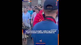ShkodraWeb | "Jemi protestuese strategjike", malësori nga Kelmendi nxjerr në protestë dhitë e tij