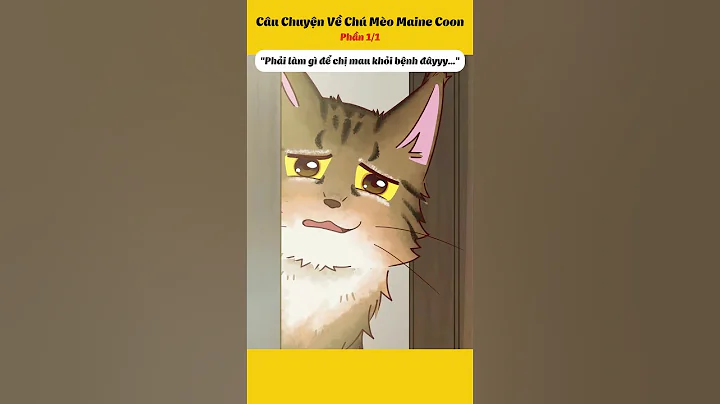 Video 10974961: maine coon cat animals, maine coon cat funny