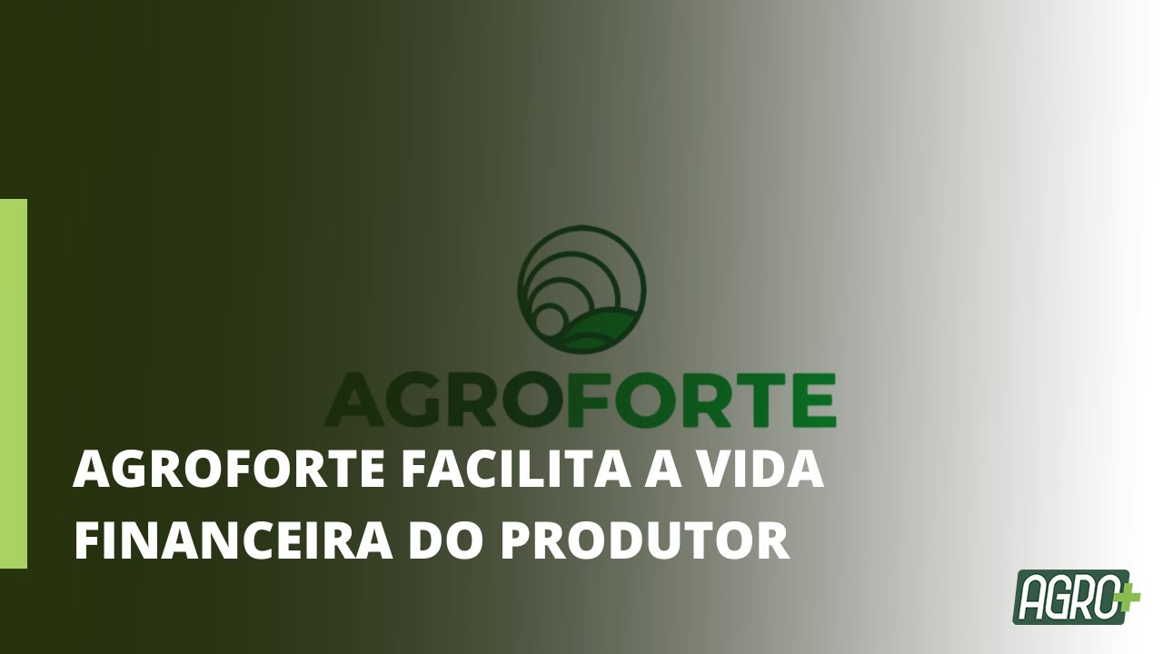 App oferece crédito simples e ágil na palma da mão