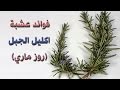 فوائد عشبة اكليل الجبل | روز ماري