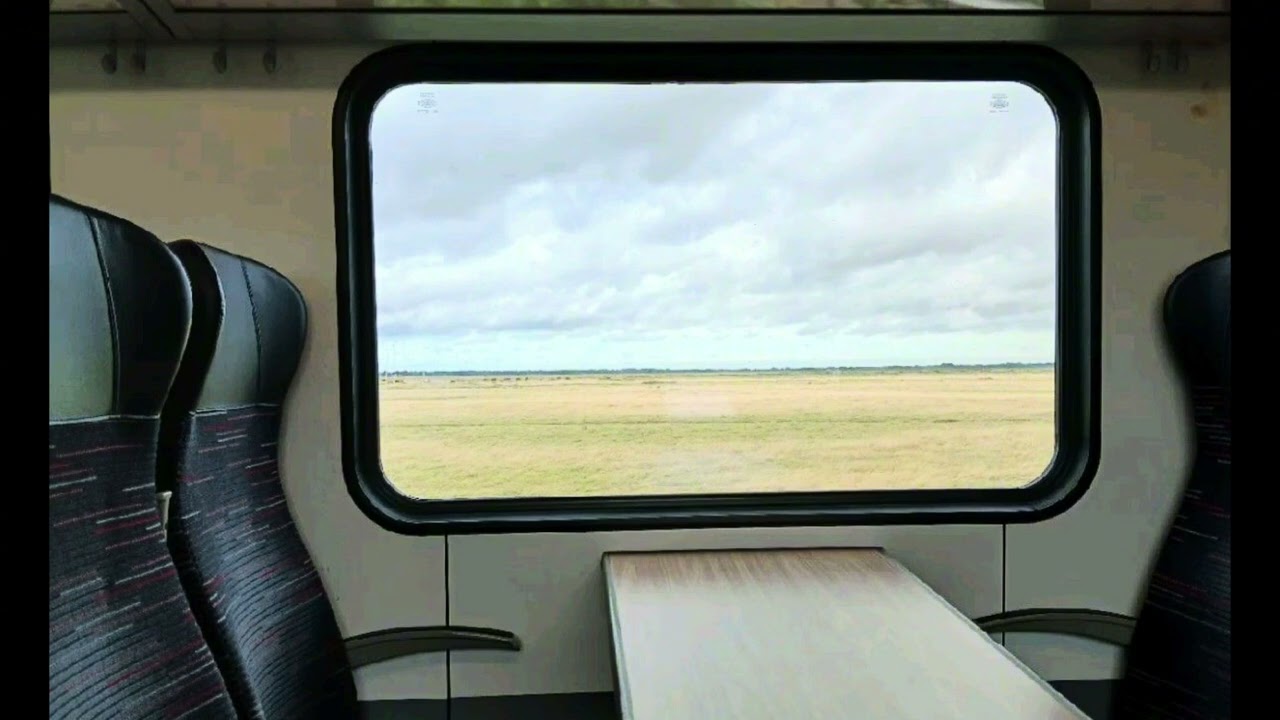 Szenario: train ride but I sneeze all over you