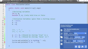 Boolean Variable Intro (Java)