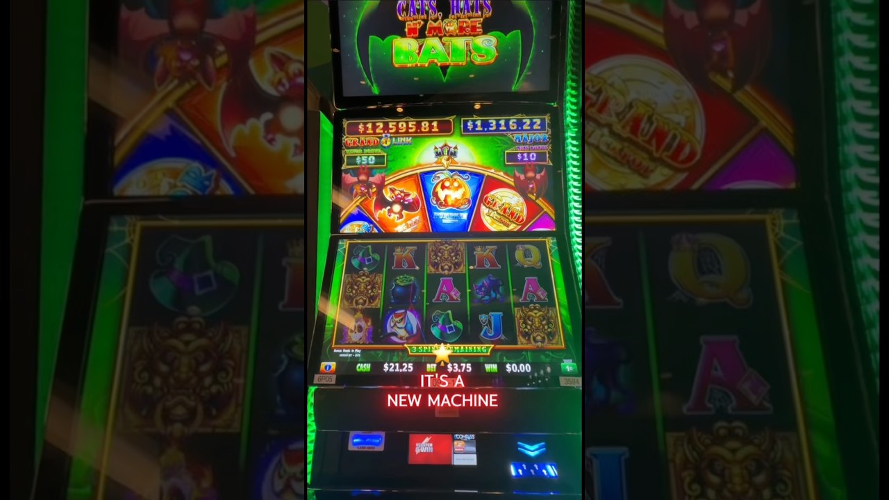BRAND NEW BONUS? First time playing CATS HATS & MO BATS! PUMPKIN FEATURE 🎃  #spookyszn #slots #win