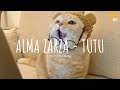 tutututititu (Tutu) - Alma Zarza - Pedrocapo (Cover) // (Vietsub + Lyric) Tik Tok Song