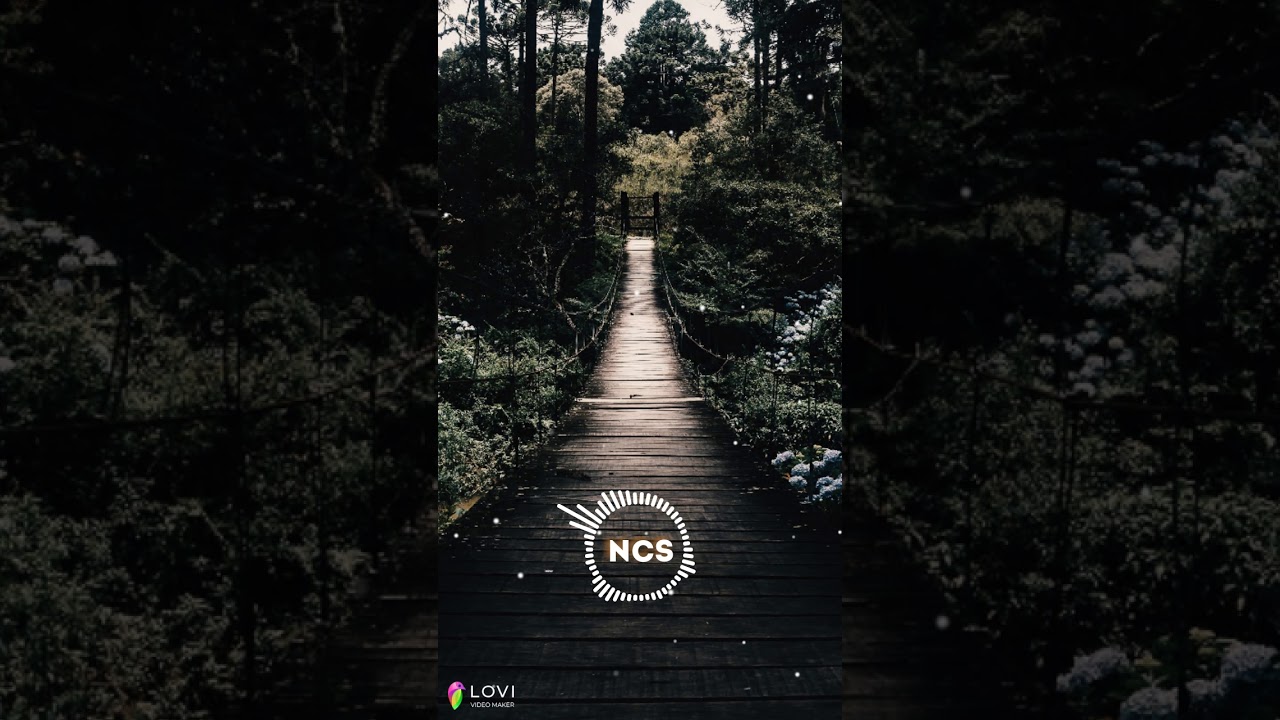 Music lover status for whatsapp YouTube