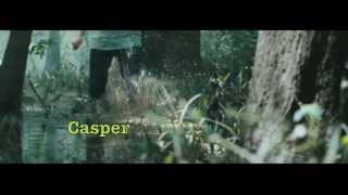 38. Winterthurer Musikfestwochen 2013 Promo-Trailer