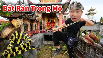Hậu Cáo - Bắt Rắn Trong Mộ Cổ