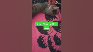 تلاوة عطرة تهز النفوس وتقشعر لها الابدان تابع  وانشر تؤجر