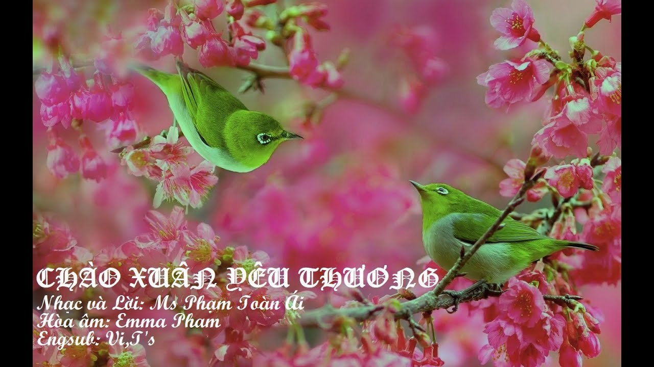 Chào Xuân Yêu Thương (Engsub) - N&L: Ms Toàn Ái - Trình bày: Emma Pham