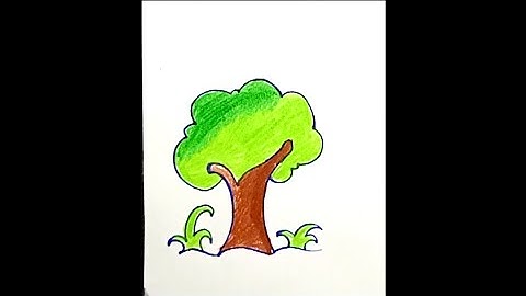 How to draw a color tree / Realistic tree drawing / very easy method to draw and colo.....