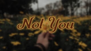 Alan Walker - Not You (Emma Steinbakken) Slowed + Reverb