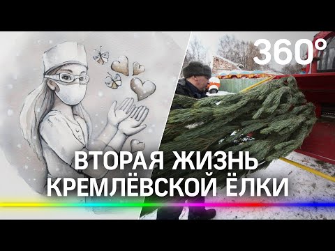 Вторая жизнь кремлёвской ёлки: эскиз для часов из новогоднего дерева был сделан в «красной зоне»