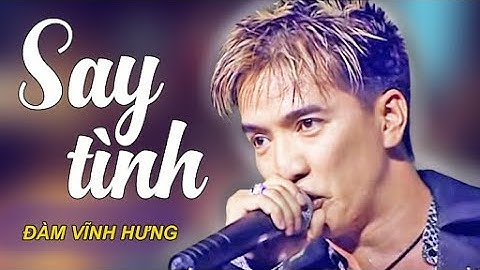 SAY TÌNH - Đàm Vĩnh Hưng | Official Music Video