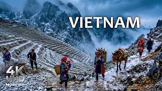 VIETNAM: Why This Is the Most Captivating Place on Earth • 4K Travel Documentary