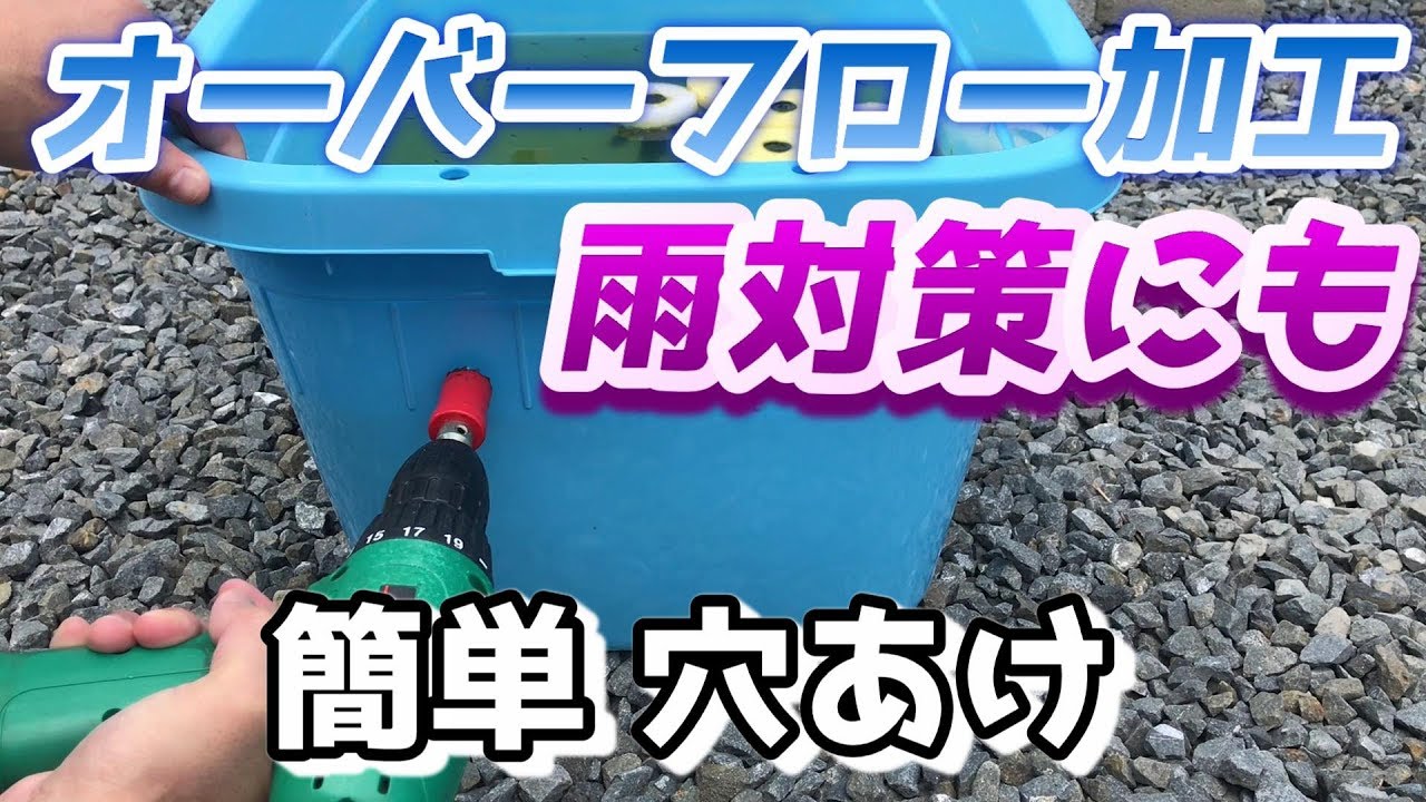 稚魚容器オーバーフロー対策 | しろうとメダカ日記 ～メダカと