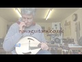 Nava archtop mandolin pt vii in the white