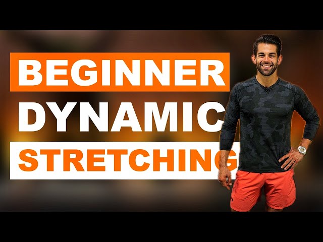 Beginner Dynamic Stretching // Dynamic Stretches For Beginners