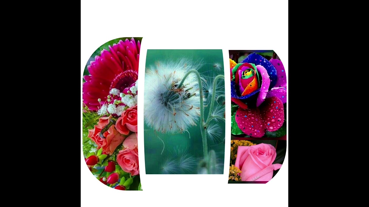  آهنگ جدید جویدی فرخار