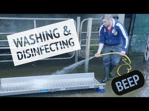 BEEP - Washing & Disinfecting