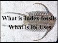 Index Fossils and Their Role in Geologic Time Analysis