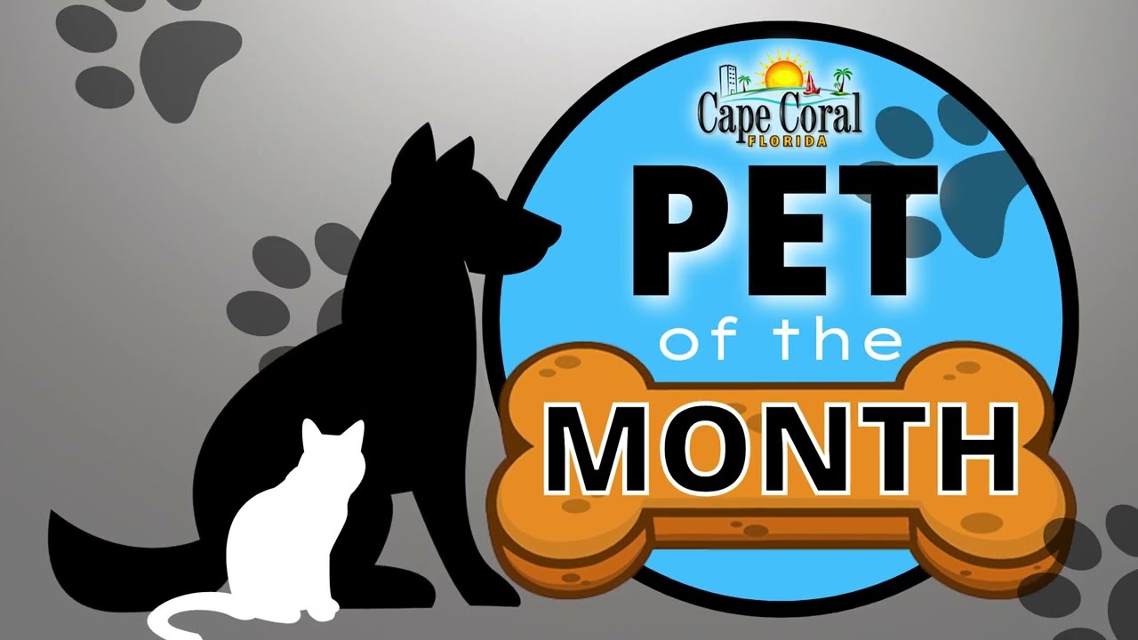 Pet of the Month - Bitty