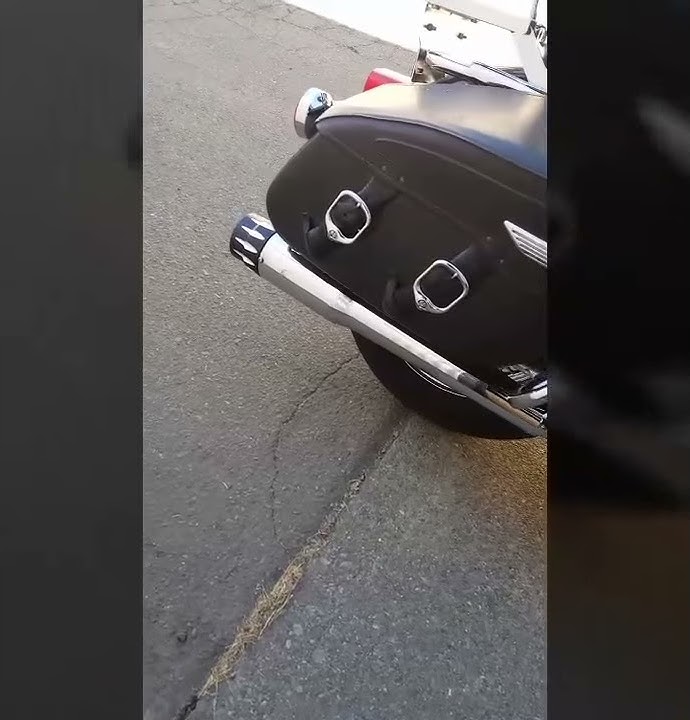 Mutazu Competition megaphone exhaust mufflers